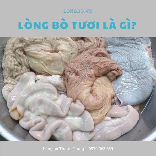 Lòng bò tươi: Bí quyết nấu món ngon đậm đà 1 lòng bò tươi là gì