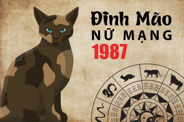 Xem tử vi tuổi Đinh Mão 1987 - Tổng quan năm 2024 1 xem-tu-vi-tuoi-dinh-mao-1987-nu-mang-nam-2024